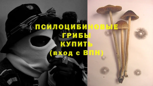 jwh Абаза