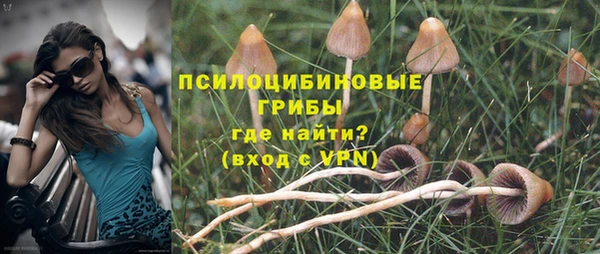 jwh Абаза