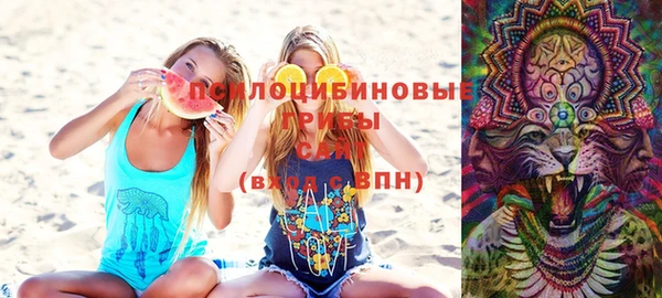круглые Алексеевка