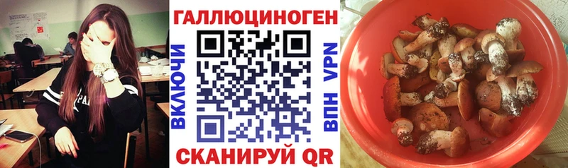 Псилоцибиновые грибы ЛСД  Ессентукская 